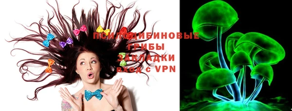 прущие грибы Нефтегорск