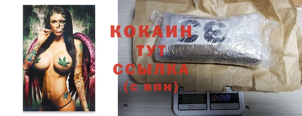 прущие грибы Нефтегорск