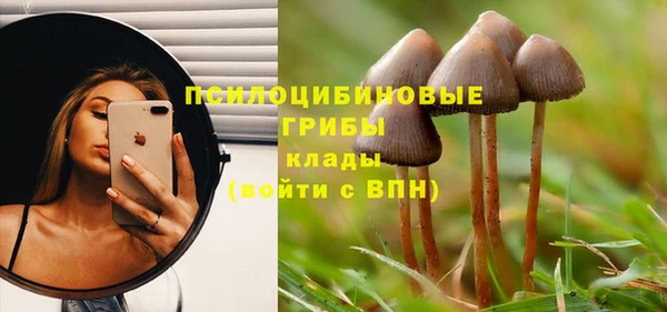 прущие грибы Нефтегорск