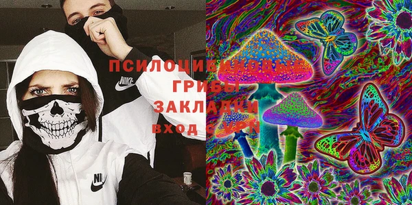 PSILOCYBIN Нея