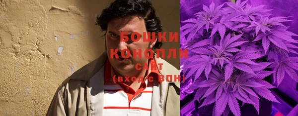 PSILOCYBIN Нея